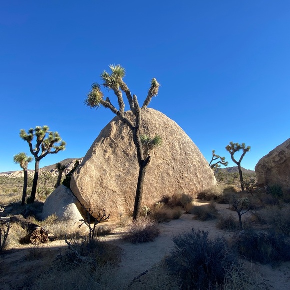 Meet your Posher, Em - Picture 1 of 1